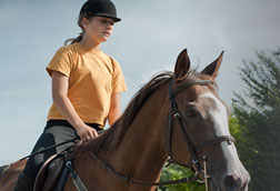 Glamping with Horses