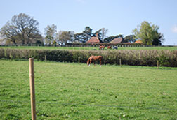Glamping with Horses